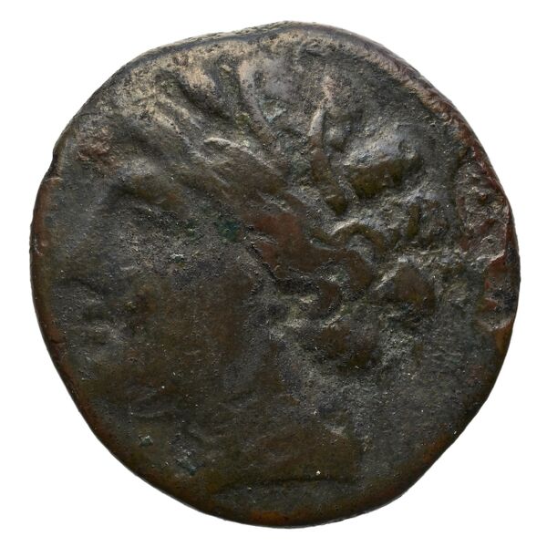 Syracuse Puglisi 2009 309, аверс, bnf-iris