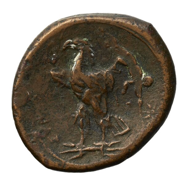 Hicetas Syracuse Puglisi 2009 327, реверс, bnf-iris