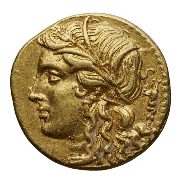 Hieron II Syracuse Carroccio 1994 16-58, аверс, bnf-iris