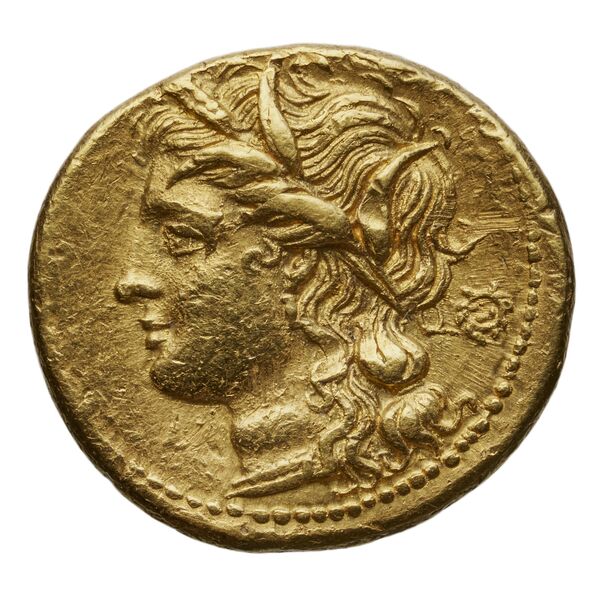 Hieron II Syracuse Carroccio 1994 59-94, аверс, bnf-iris