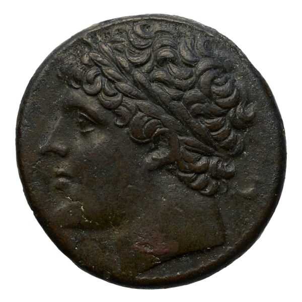 Hieron II Syracuse Puglisi 2009 340, аверс, bnf-iris