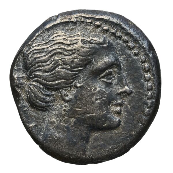 Hieron II Syracuse Carroccio 1994 pl_XV_L-M, аверс, bnf-iris