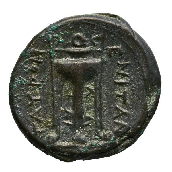 Tauromenium Puglisi 2009 371, реверс, bnf-iris