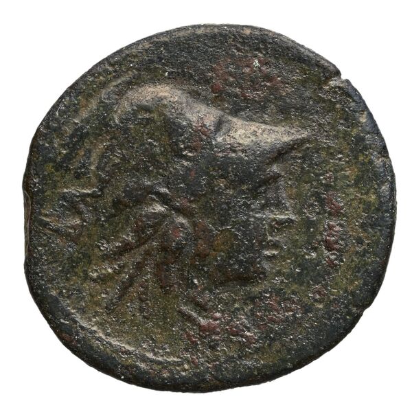 Tauromenium Puglisi 2009 378, аверс, bnf-iris