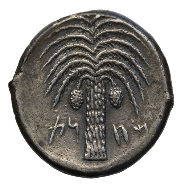 Carthaginian Empire rev