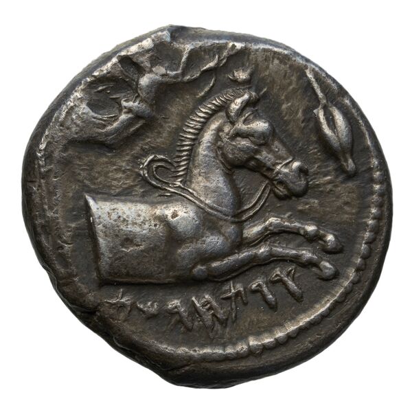 Carthaginian Empire Carthage Jenkins 1974 Carthage series 1, 1-37, аверс, bnf-iris