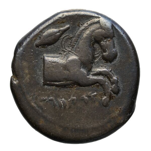 Carthaginian Empire Carthage Jenkins 1974 Carthage series 1, 1-37, аверс, bnf-iris