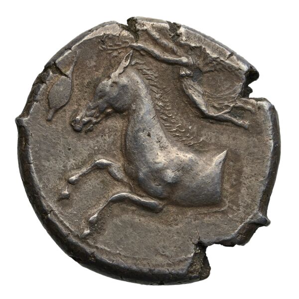 Carthaginian Empire Carthage Jenkins 1974 Carthage series 1, 1-37, аверс, bnf-iris