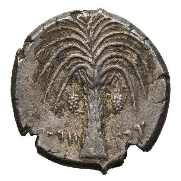 Carthaginian Empire Carthage Jenkins 1974 Carthage series 1, 1-37, реверс, bnf-iris
