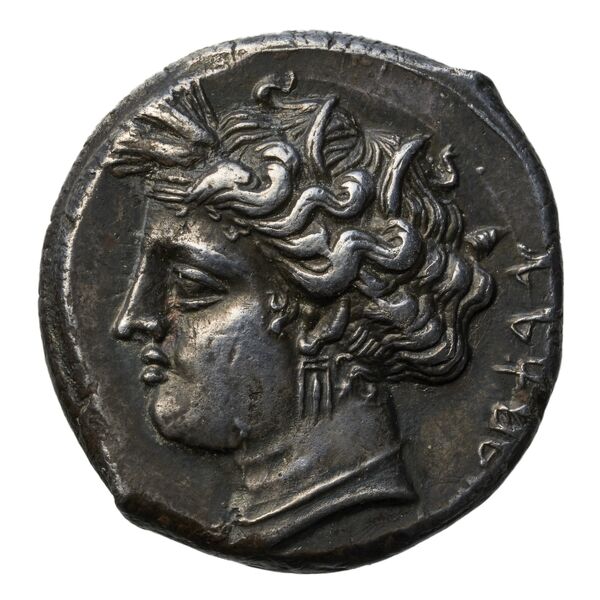 Carthaginian Empire Carthage Jenkins 1977 Carthage series 2, аверс, bnf-iris