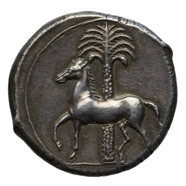 Carthaginian Empire Carthage Jenkins 1977 Carthage series 2, реверс, bnf-iris