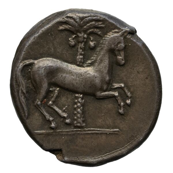 Carthaginian Empire Carthage Jenkins 1977 Carthage series 2, реверс, bnf-iris