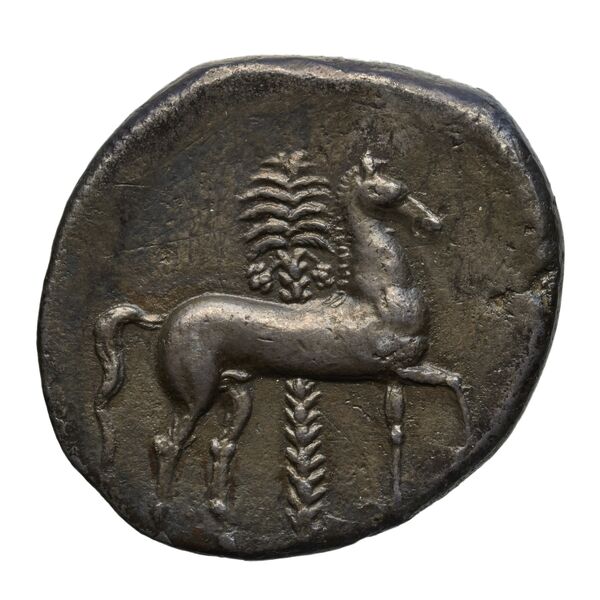 Carthaginian Empire Carthage Jenkins 1977 Carthage series 2, реверс, bnf-iris