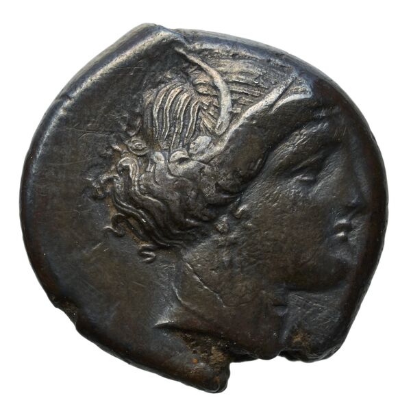 Carthaginian Empire Carthage Jenkins 1977 Carthage series 2, аверс, bnf-iris