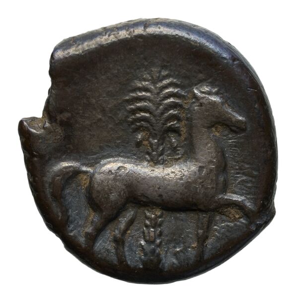 Carthaginian Empire Carthage Jenkins 1977 Carthage series 2, реверс, bnf-iris