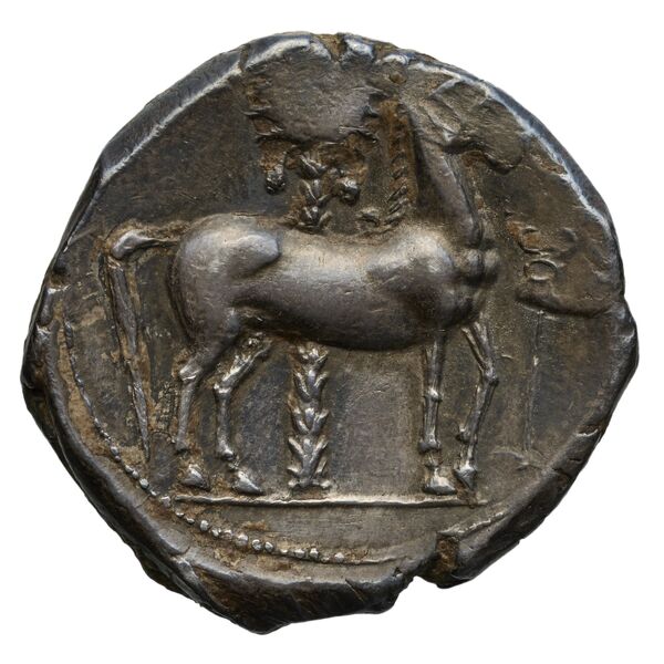Carthaginian Empire Carthage Jenkins 1977 Carthage series 2, реверс, bnf-iris