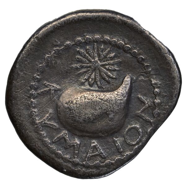 Cumae Historia Numorum Italy 532, реверс, bnf-iris