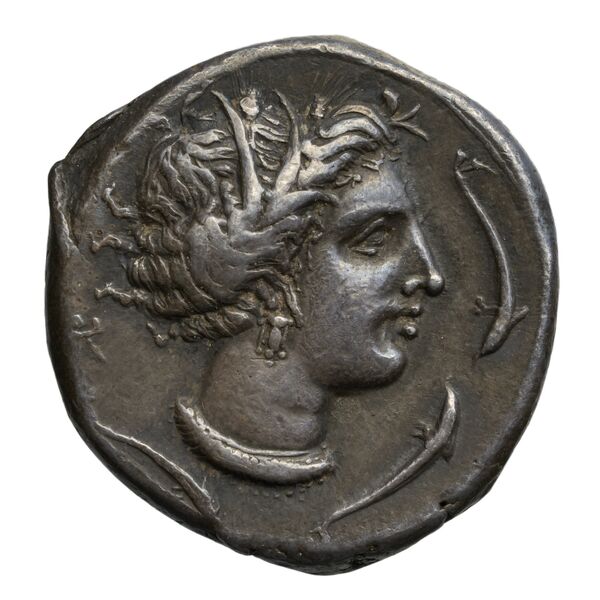 Carthaginian Empire Carthage Jenkins 1977 Carthage series 2, аверс, bnf-iris