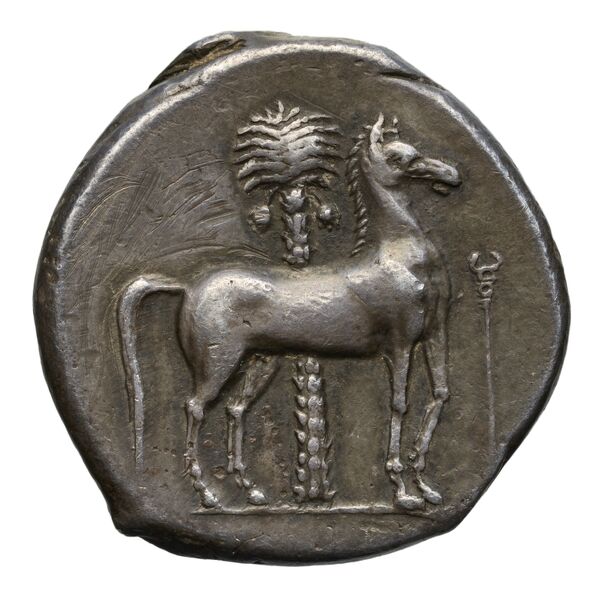 Carthaginian Empire Carthage Jenkins 1977 Carthage series 2, реверс, bnf-iris