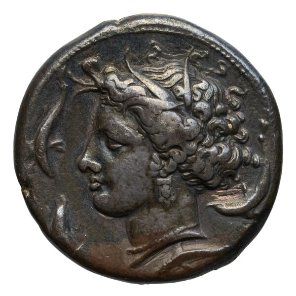 Carthaginian Empire Carthage Jenkins 1977 Carthage series 2, аверс, bnf-iris