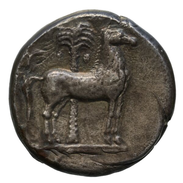 Carthaginian Empire Carthage Jenkins 1977 Carthage series 2, реверс, bnf-iris