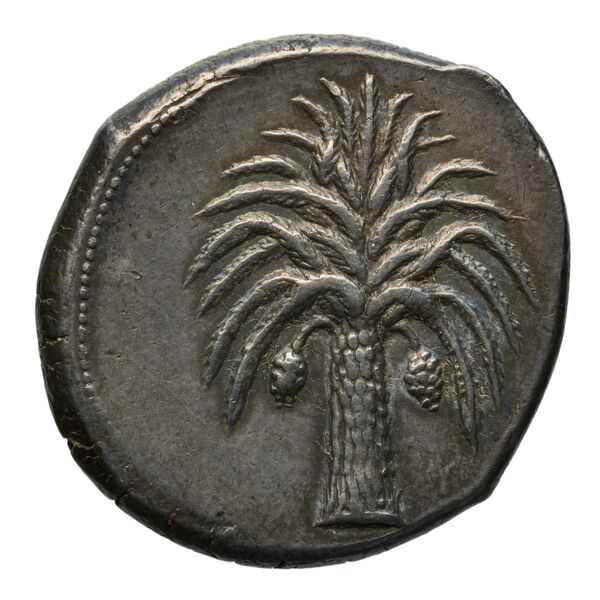 reverse Carthaginian Empire Carthage Jenkins 1974 Carthage series 1, 38-48