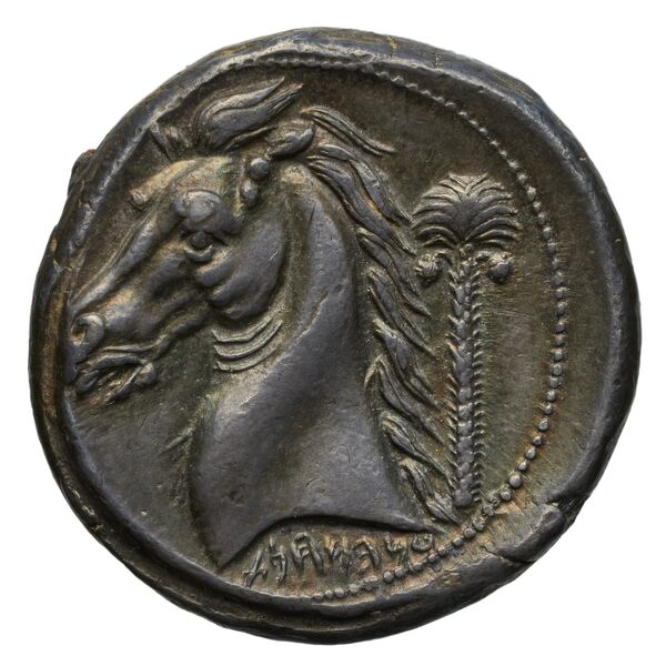 Carthaginian Empire Carthage Jenkins 1978 Carthage series 5, реверс, bnf-iris