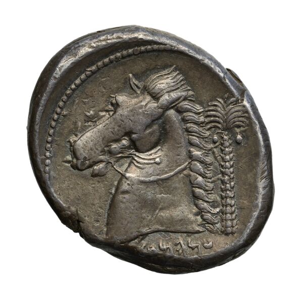 Carthaginian Empire Carthage Jenkins 1978 Carthage series 5, реверс, bnf-iris