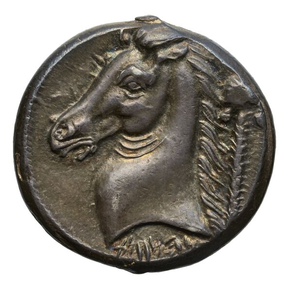 Carthaginian Empire Carthage Jenkins 1978 Carthage series 5, реверс, bnf-iris