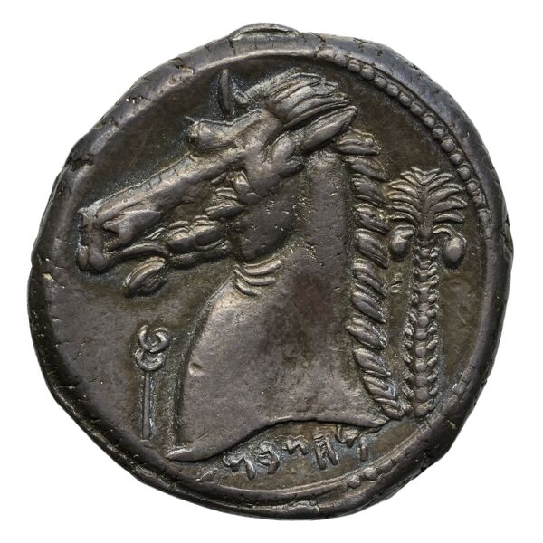 Carthaginian Empire Carthage Jenkins 1978 Carthage series 5, реверс, bnf-iris