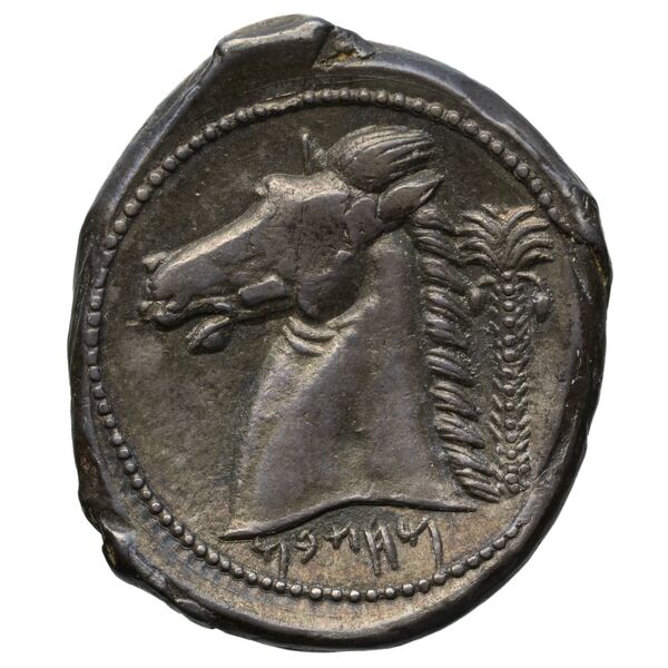 Carthaginian Empire Carthage Jenkins 1978 Carthage series 5, реверс, bnf-iris