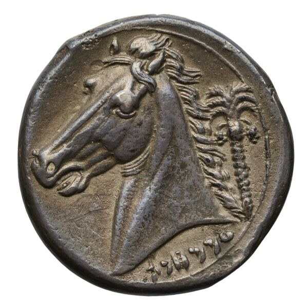 Carthaginian Empire Carthage Jenkins 1978 Carthage series 5, реверс, bnf-iris