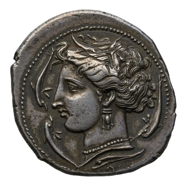 Carthaginian Empire Carthage Jenkins 1977 Carthage series 3, аверс, bnf-iris