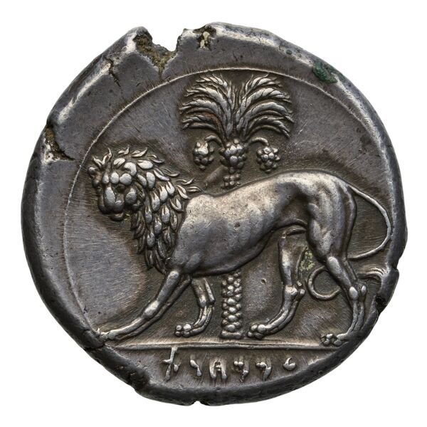 reverse Carthaginian Empire Carthage Jenkins 1977 Carthage series 4