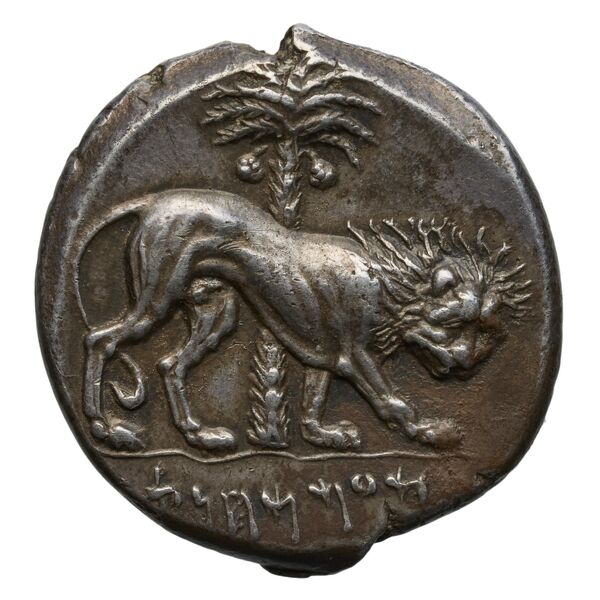 Carthaginian Empire Carthage Jenkins 1977 Carthage series 4, реверс, bnf-iris