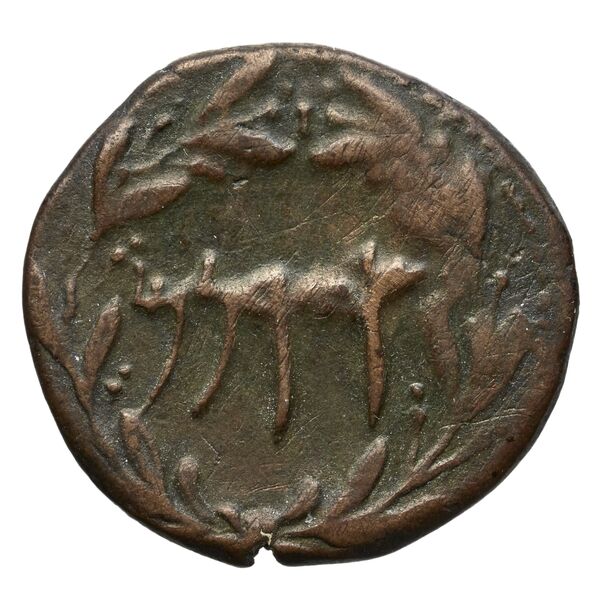 Cossura SNG Copenhagen Cossura 449, reverse, bnf-iris