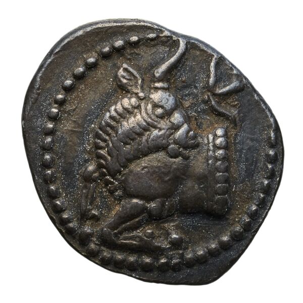 аверс Acanthus Tselekas 1996 Period D-F, T15-62
