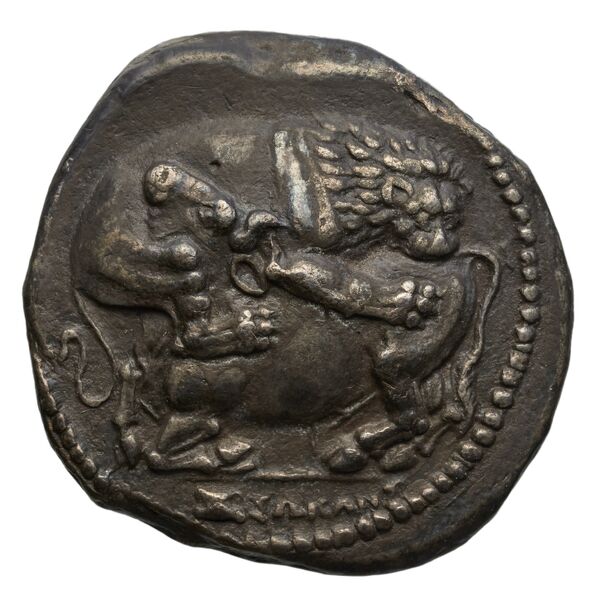 аверс Acanthus Tselekas 1996 Periods F-G, groups 42-61