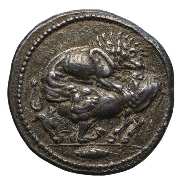 Acanthus Tselekas 1996 Periods F-G, groups 42-61, аверс, bnf-iris