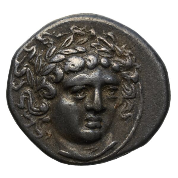 аверс Amphipolis Lorber 1990 Drachm Type A-B