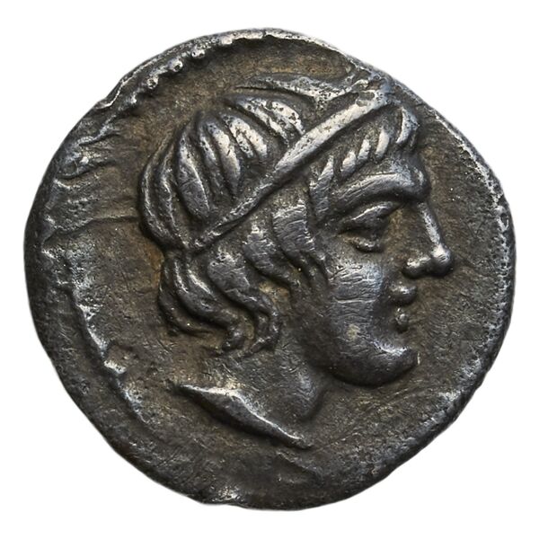 аверс Amphipolis Lorber 1990 Obol