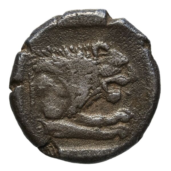 Perdiccas II of Macedon Aegae, Macedon Raymond 1953 Group IV heavy tetrobols, реверс, bnf-iris