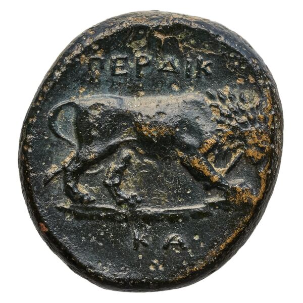 Perdiccas III of Macedon Macedon BMC Perdiccas III 2-7, реверс, bnf-iris