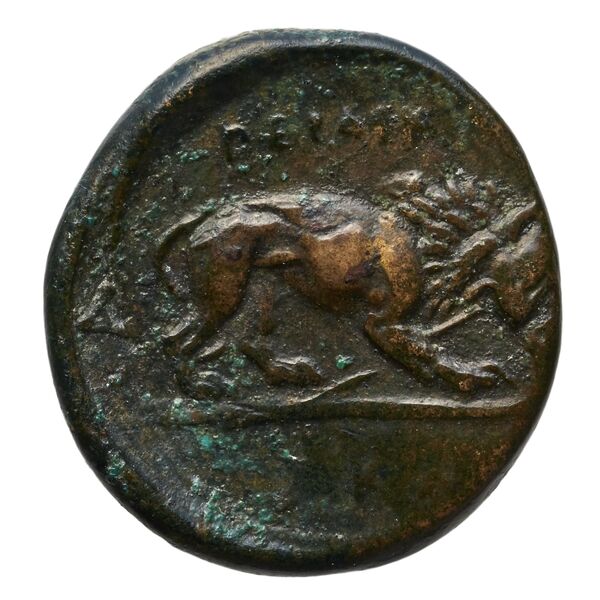 Perdiccas III of Macedon Macedon BMC Perdiccas III 2-7, реверс, bnf-iris