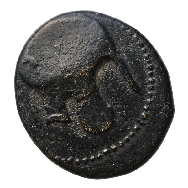 Cassander Macedon AMNG III.2 10, аверс, bnf-iris