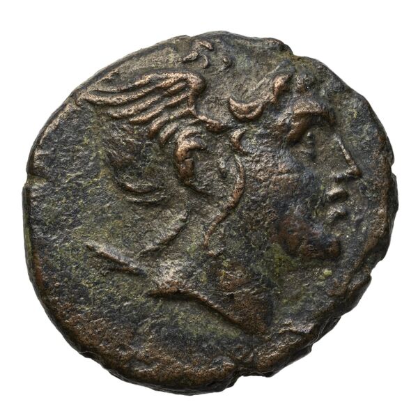 Philip V Macedon AMNG III.2 20-21, аверс, bnf-iris