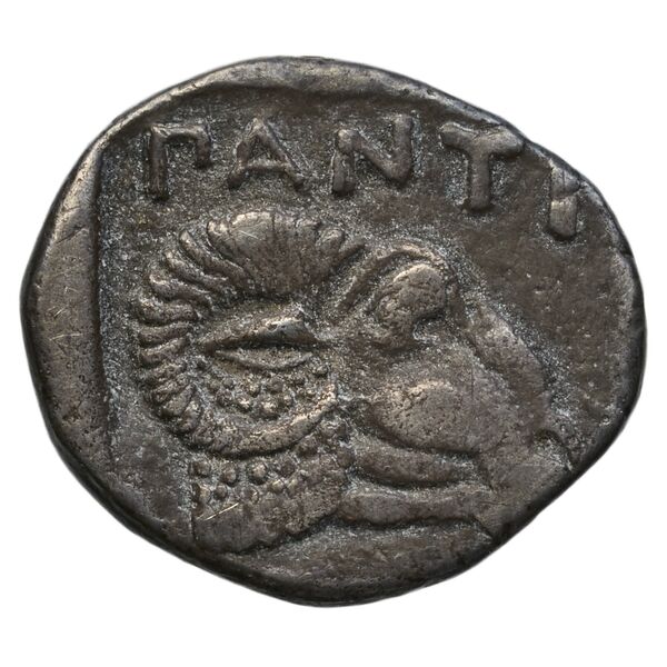 реверс Panticapaeum MacDonald 2005 25-8