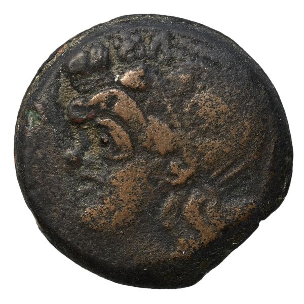 аверс Panticapaeum MacDonald 2005 70