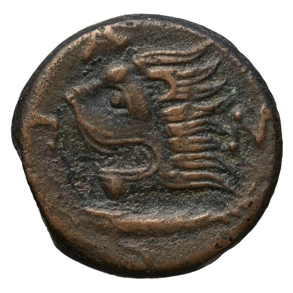 реверс Panticapaeum MacDonald 2005 70
