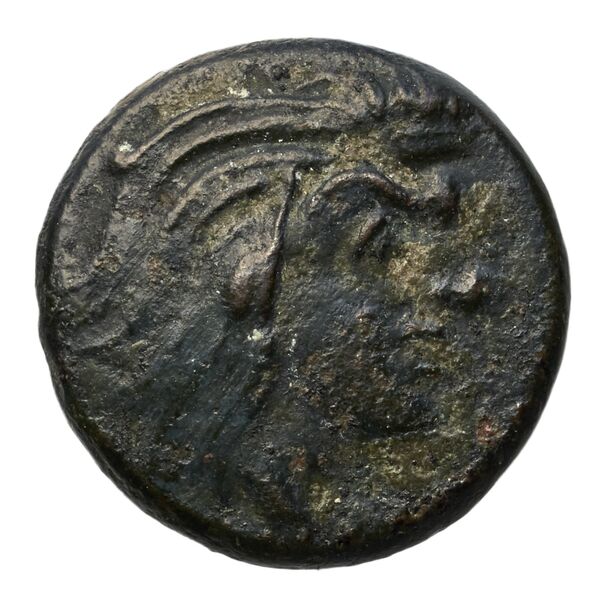 аверс Panticapaeum MacDonald 2005 72